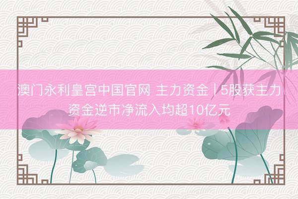 澳门永利皇宫中国官网 主力资金 | 5股获主力资金逆市净流入均超10亿元