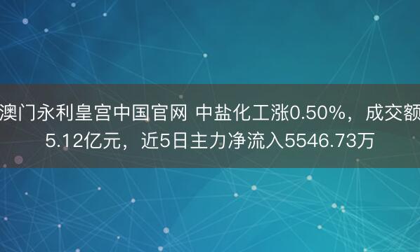澳门永利皇宫中国官网 中盐化工涨0.50%，成交额5.12亿元，近5日主力净流入5546.73万