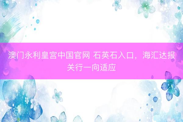 澳门永利皇宫中国官网 石英石入口，海汇达报关行一向适应