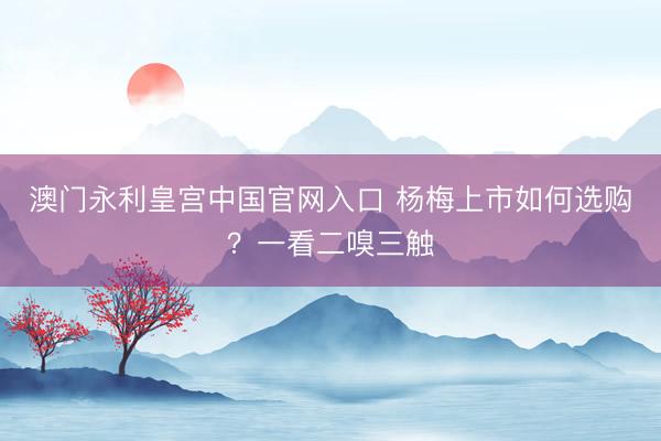 澳门永利皇宫中国官网入口 杨梅上市如何选购？一看二嗅三触