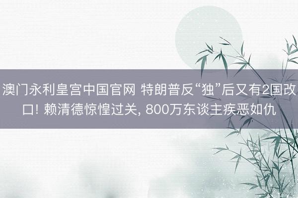 澳门永利皇宫中国官网 特朗普反“独”后又有2国改口! 赖清德惊惶过关， 800万东谈主疾恶如仇
