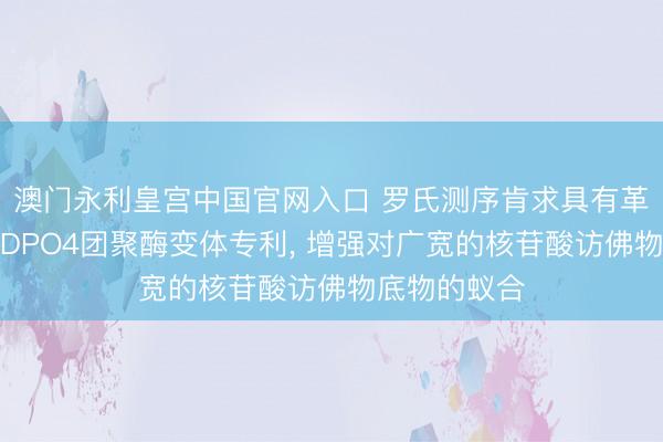 澳门永利皇宫中国官网入口 罗氏测序肯求具有革命的特色的DPO4团聚酶变体专利， 增强对广宽的核苷酸访佛物底物的蚁合