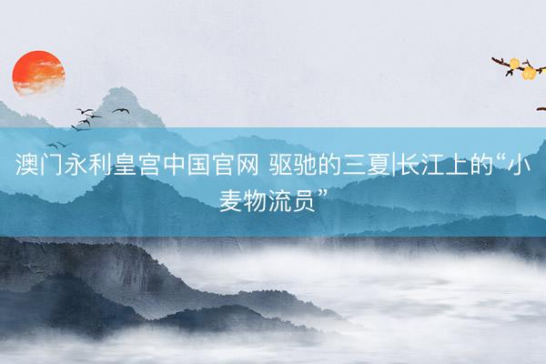 澳门永利皇宫中国官网 驱驰的三夏|长江上的“小麦物流员”